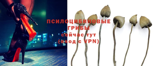 винт Алексеевка