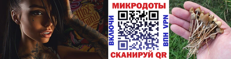 Псилоцибиновые грибы ЛСД  это официальный сайт  Лаишево 